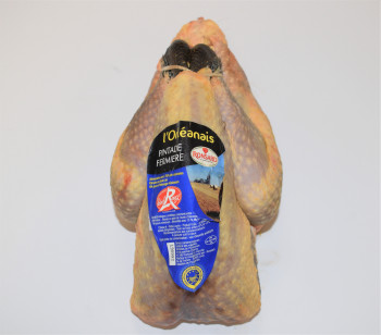 Pintade fermière prête à cuire